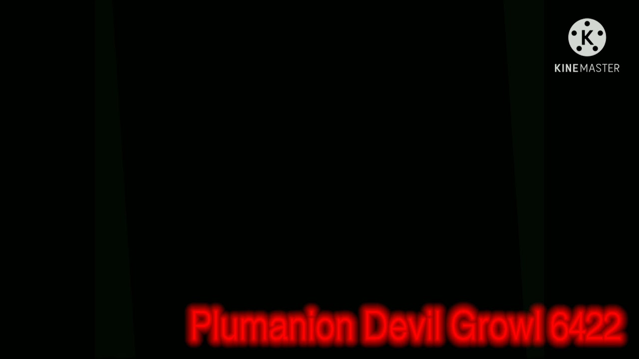 Nintendo Gamecube Startup Effects Round 1 Everyone (1/19)