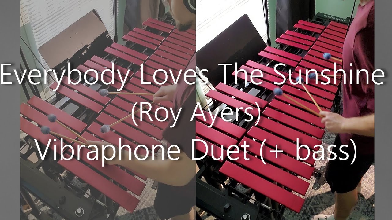 Everybody Loves the Sunshine (Roy Ayers) | Vibraphone Duet (+bass)