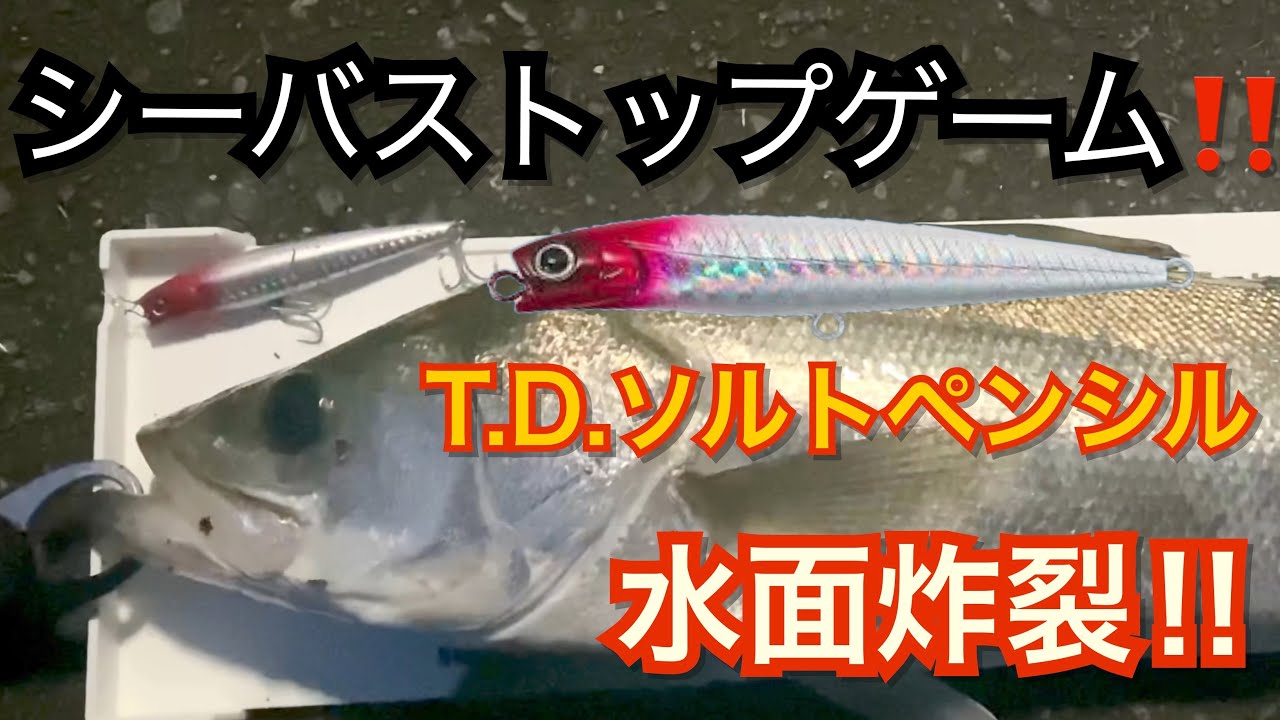 シーバス トップウォーター攻略！名作T.D.ソルトペンシルが本領発揮！