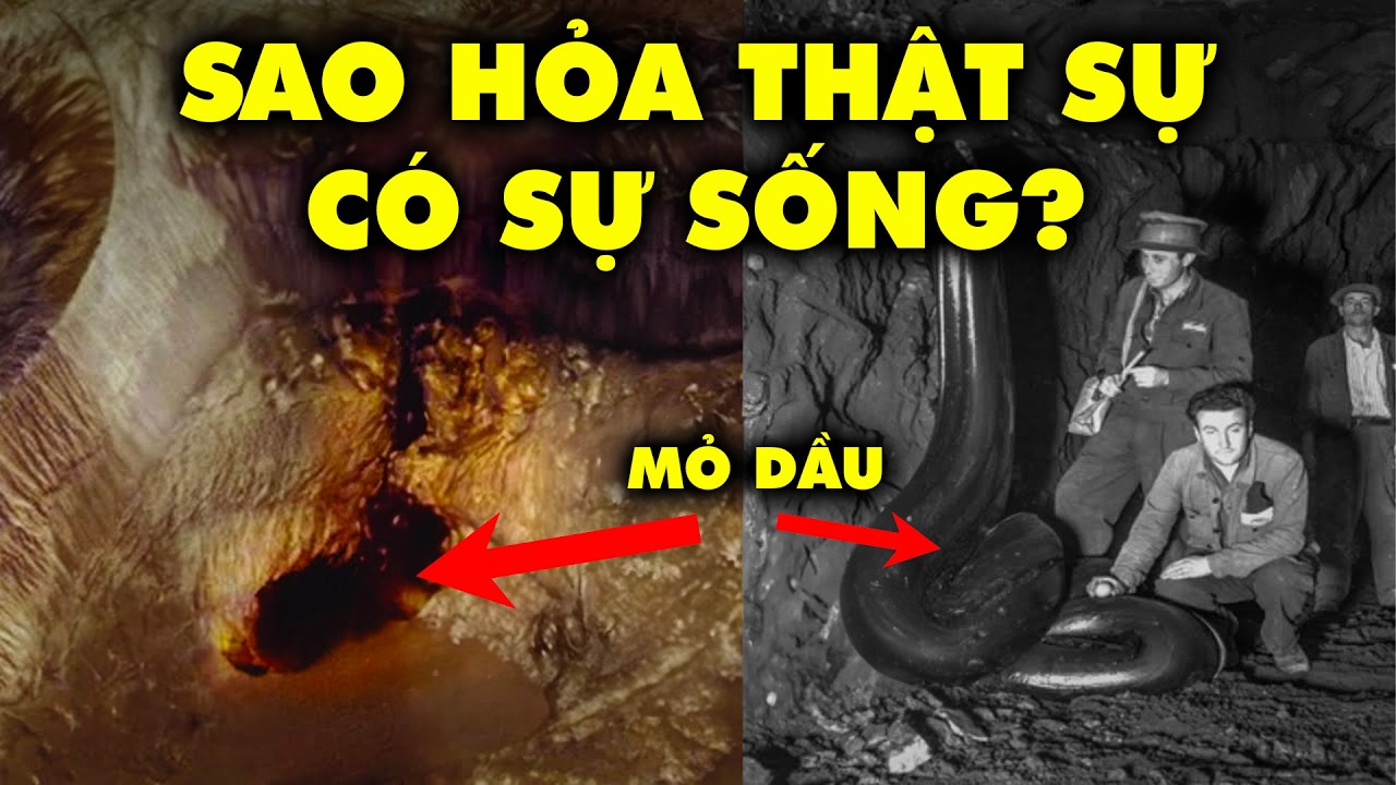 Vết Dầu Trên Sao Hỏa: Bằng Chứng Về Sự Sống Cổ Đại Và Sự Thật Về Dầu Mỏ? | Thế Giới Cổ Đại