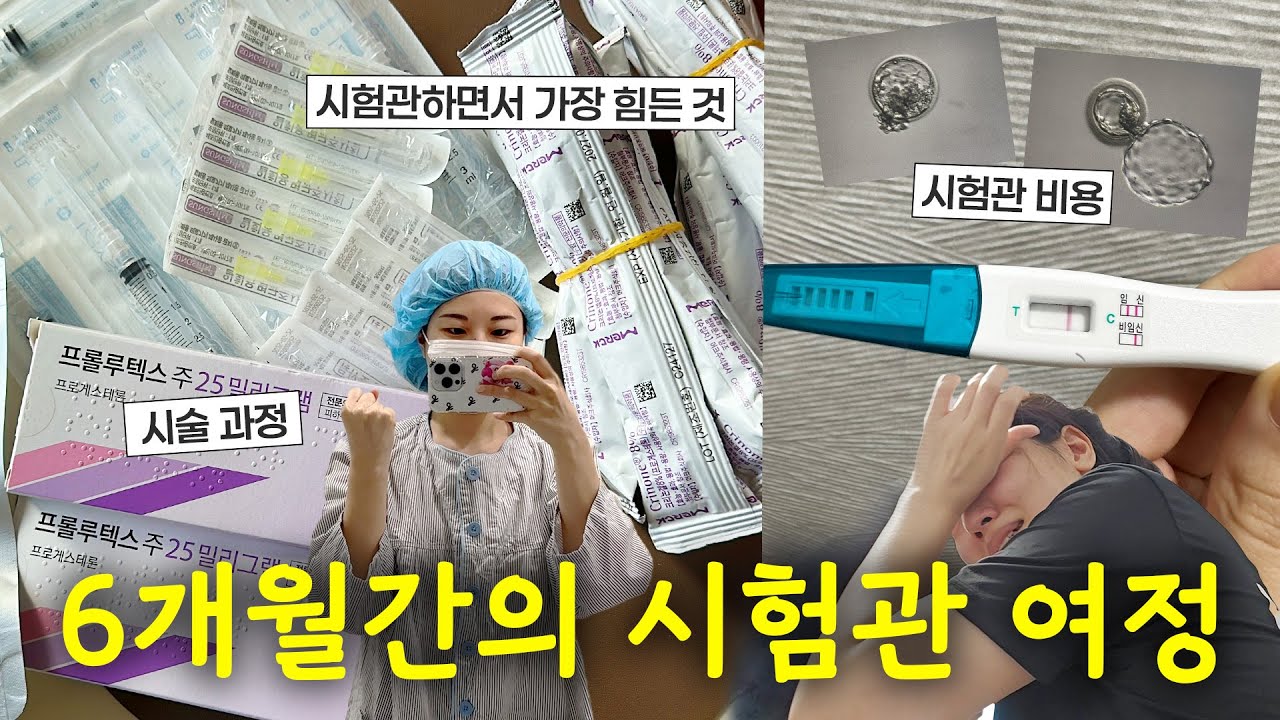 vlog. 6개월간 시험관 n차 기록 그리고 끝내 만난 기적👶🏻｜난자채취부터 이식까지, 모든 시술과정과 비용 총정리