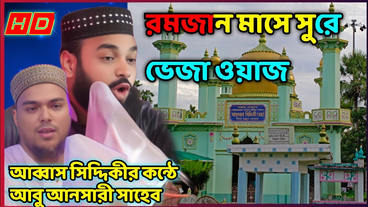পীরজাদা আব্বাস সিদ্দিকীর সুরে/ আবু আনসারী ওয়াজ abu ansari waz #abbassiddiqui