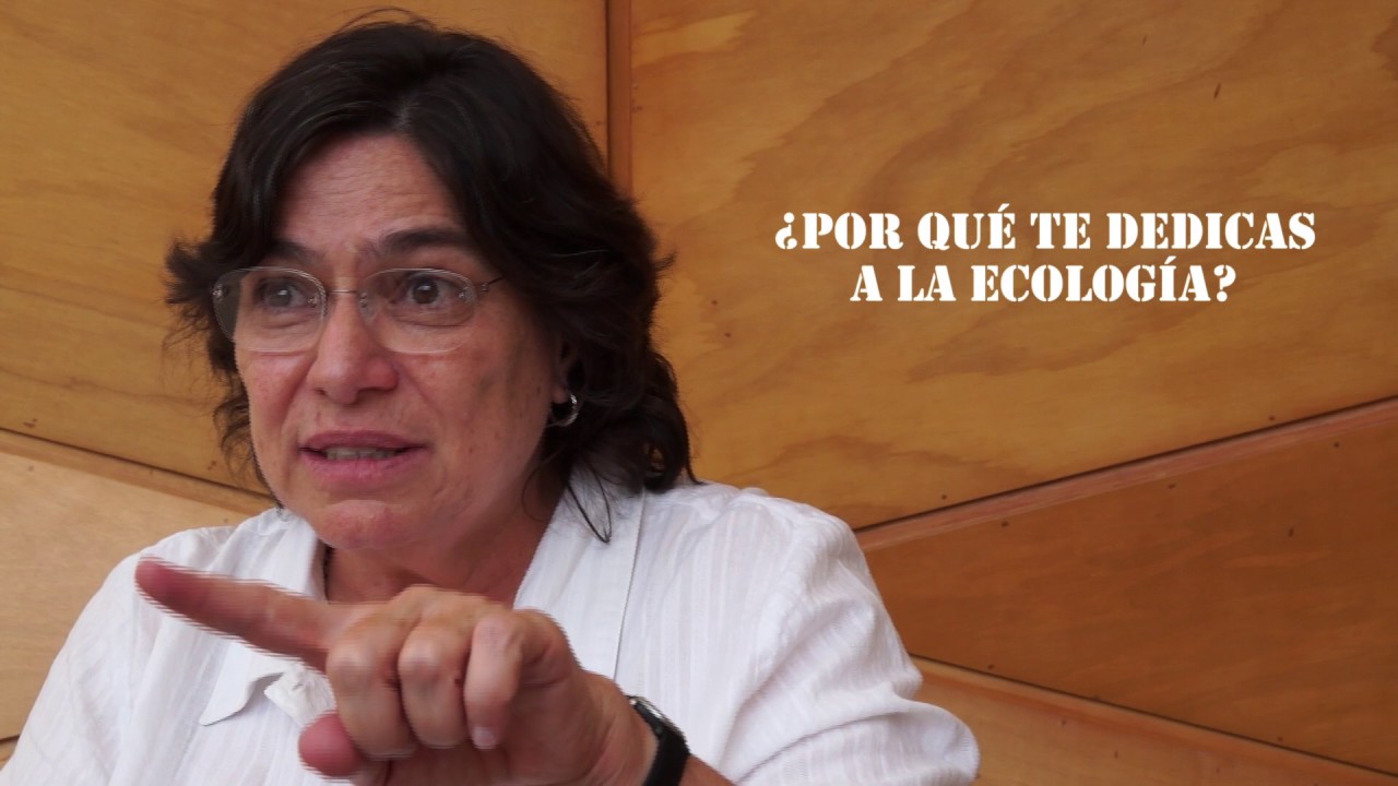 Ecólogos de México: Dra. Irene Pisanty