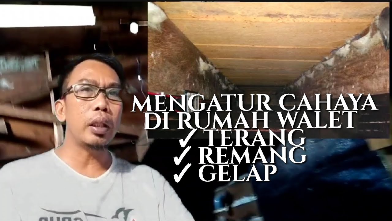 CARA MENGATUR CAHAYA DI RBW