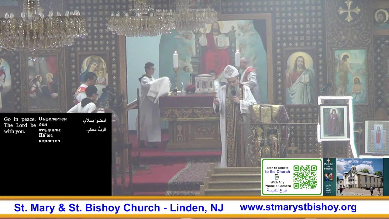 Sunday Divine Liturgy 1/25/2026 قداس الأحد الإلهى