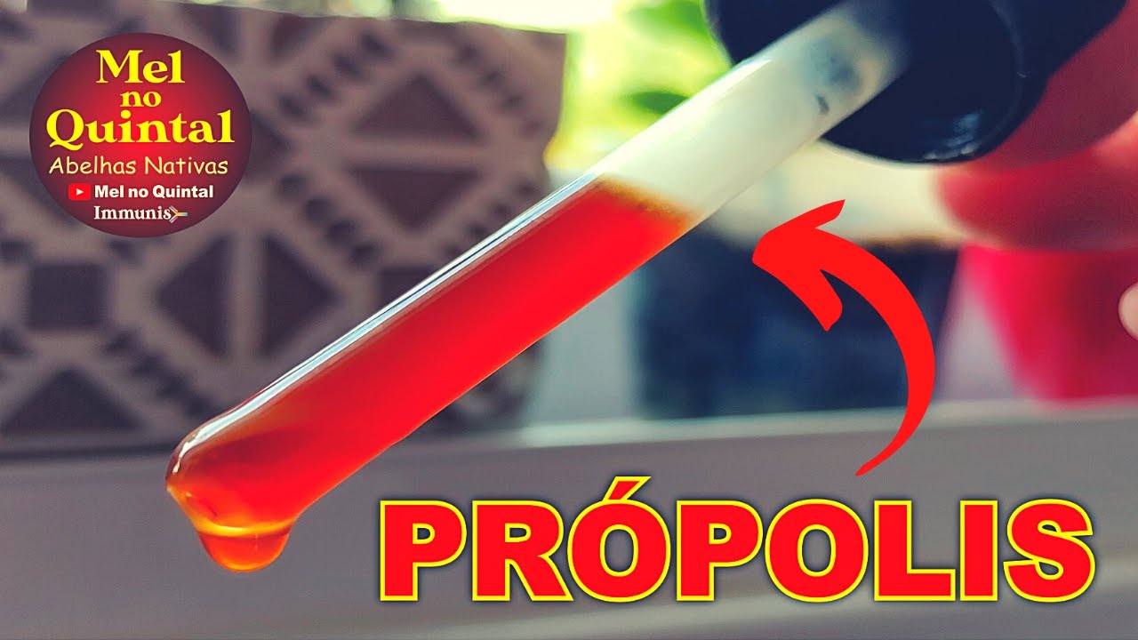 PRÓPOLIS O MELHOR IMUNOMODULADOR!