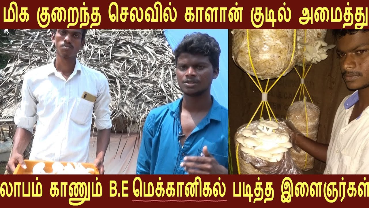 B .E மெக்கானிக்கல் படித்து குறைந்த சம்பளம் அதனால் காளான் வளர்த்து நல்ல லாபம்