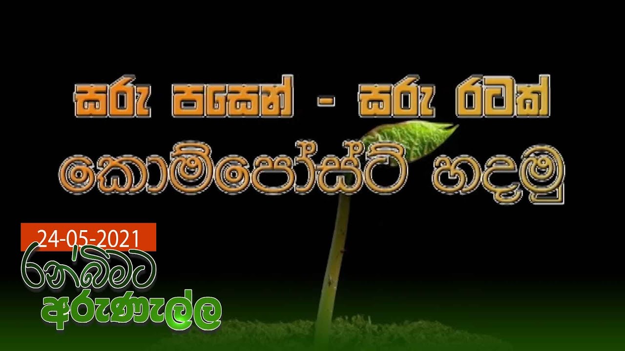 Ranbimata Arunella - (2021-05-24) | ITN