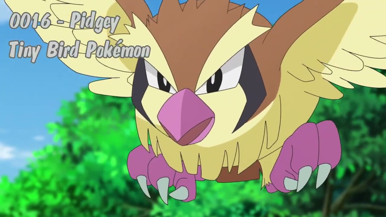 Pidgey, Wings on the Wind [AI Pok&eacute;mon Theme Song]