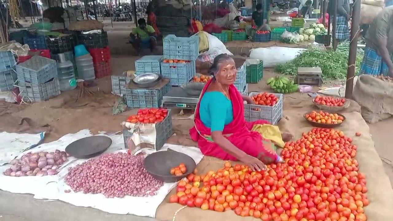 மதுரை மாட்டுத்தாவணி காய்கறி மார்க்கெட் 🥦🥬🫑 Central Market in Madurai, Tamilnadu | July 31,2024 |