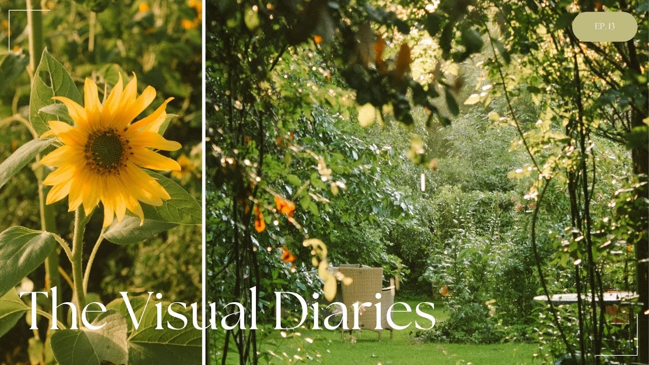 The Visual Diaries | Family festival in Sammatz, farm life, a perfect day in Hamburg!