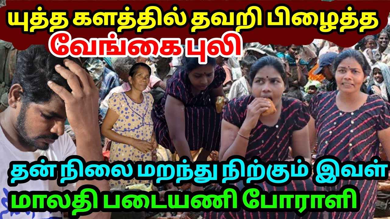 🛑 உறவையும்  உடையையும் இழந்து ஆமி வலையிலிருந்து தப்பித்த  வேங்கையின் சோகக் கதை