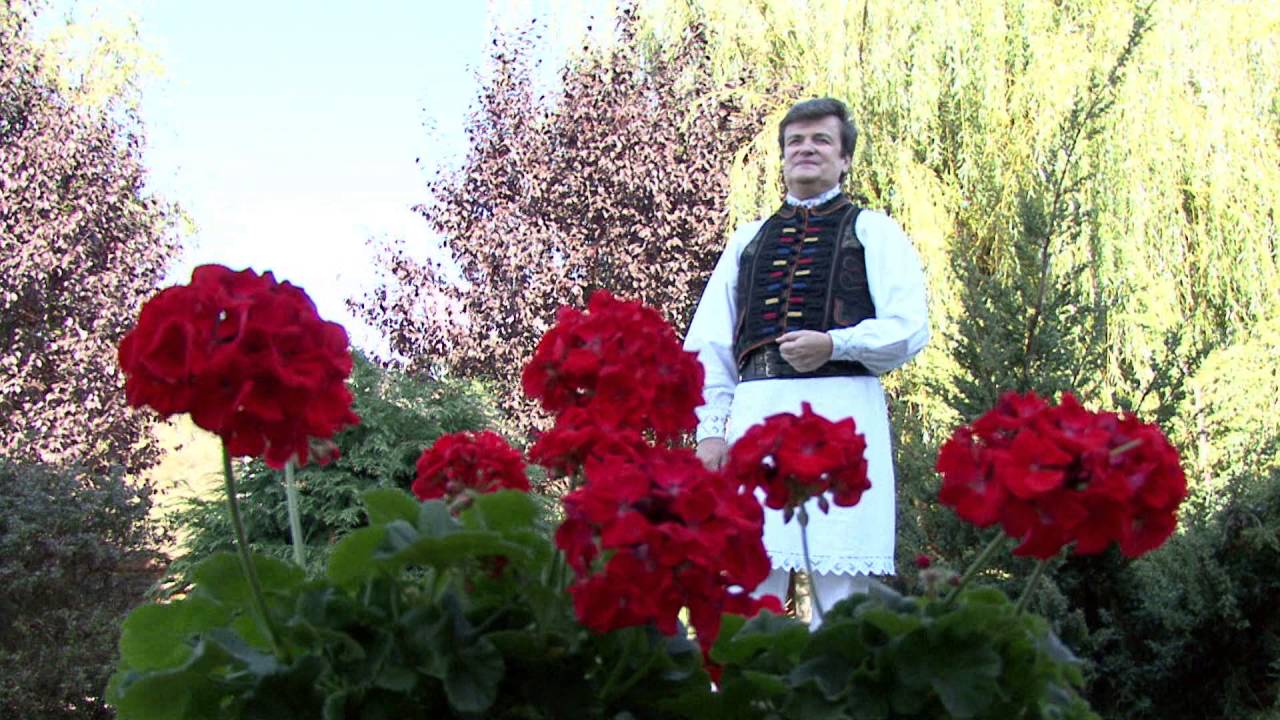 FLORIAN ROSAN   Inimă de ce nu mori