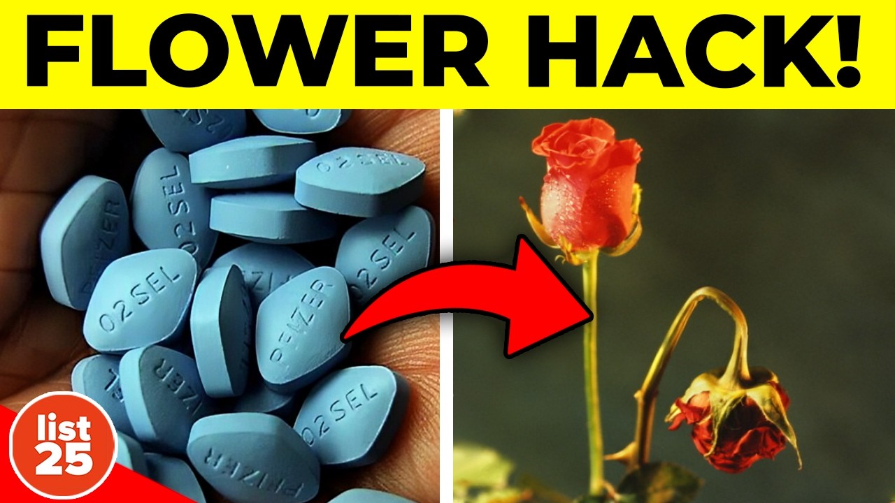 100 Facts Nobody Wants You To Know