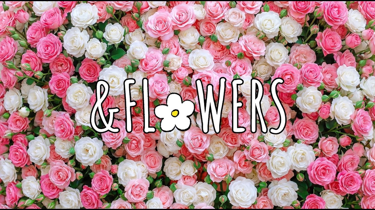 Happy day 🌹 Lo-fi ㅣRoseㅣSpring, &FLOWERS (no Lyrics)
