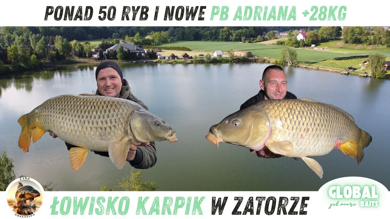 Karp +28 kg. Ponad 50 ryb w dwie doby na Łowisku Karpik w Zatorze. Branie na żywo 9 minuta, zobacz.