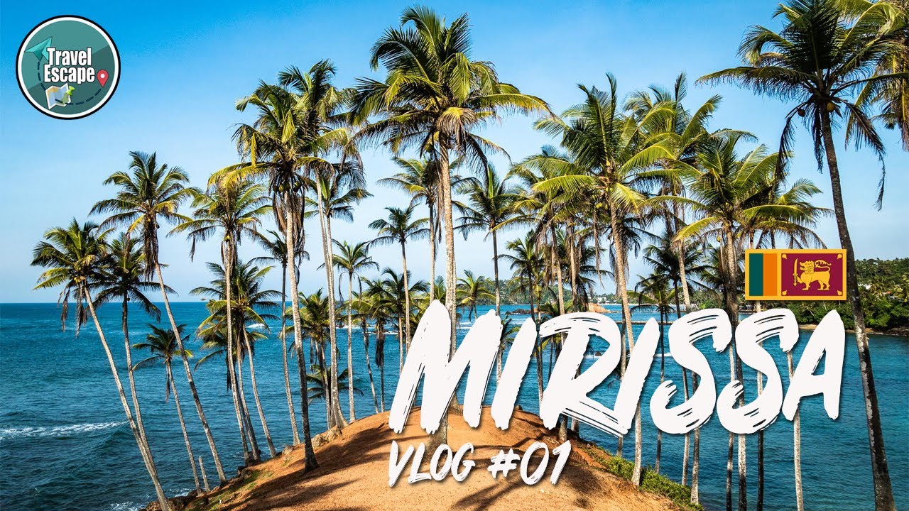 Mirissa | Sri Lanka | Travel Vlog #01