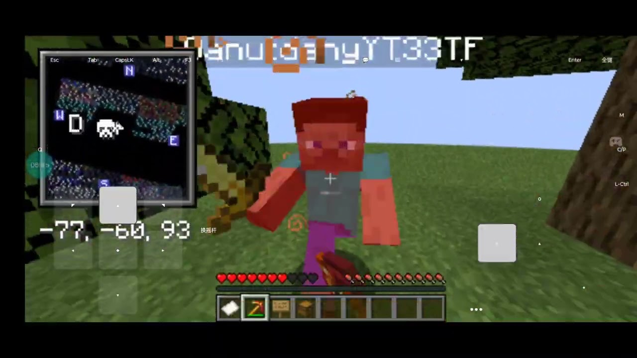 Challenge cu Dănuț in Minecraft și am batut