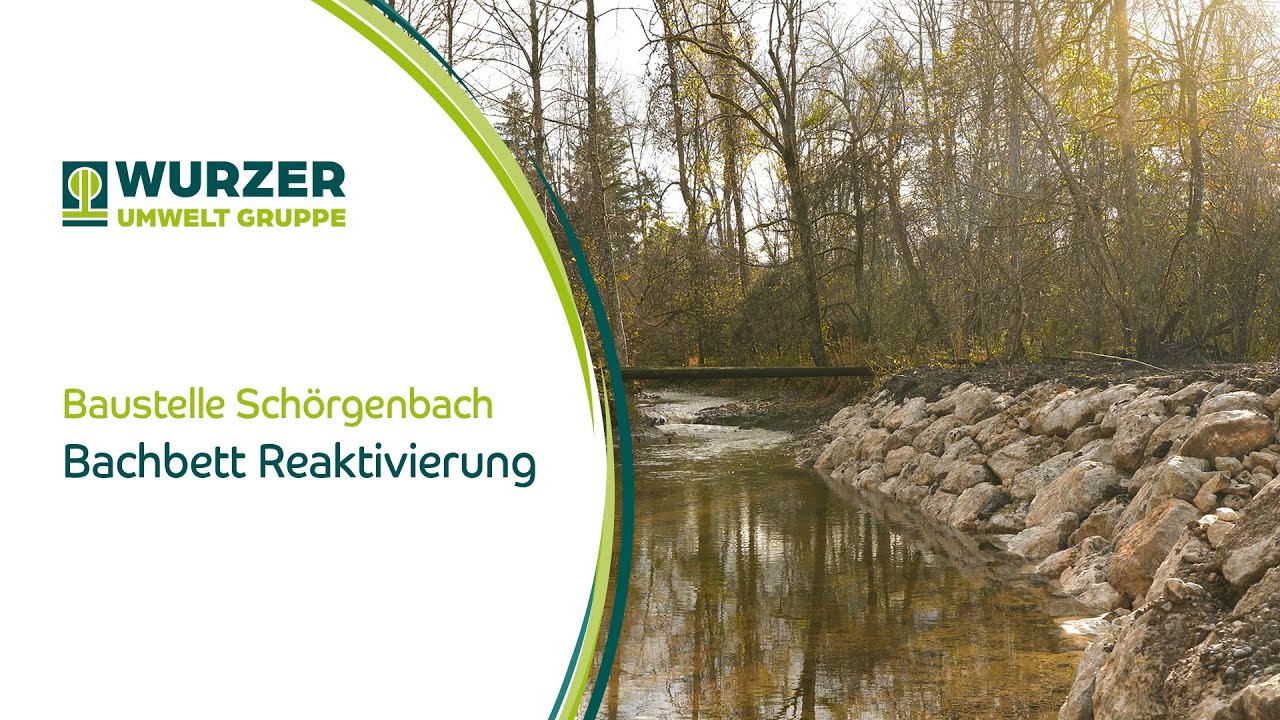 Wurzer Umweltdienst | Bachbett Reaktivierung am Schörgenbach