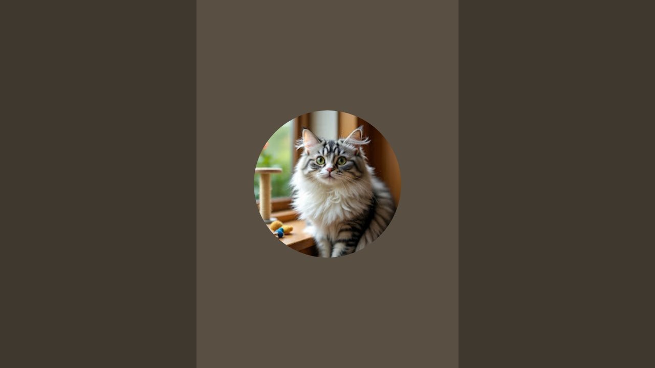 Cats fun  is live!Cat gaming play and enjoy your weekend #viral#youtube#for