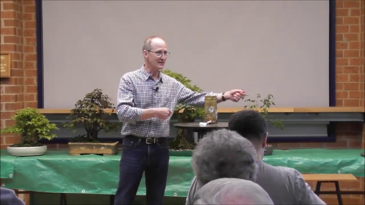 How to style deciduous broad leaf bonsai trees -  Stephen Cullum Bonsai Northwest Melbourne