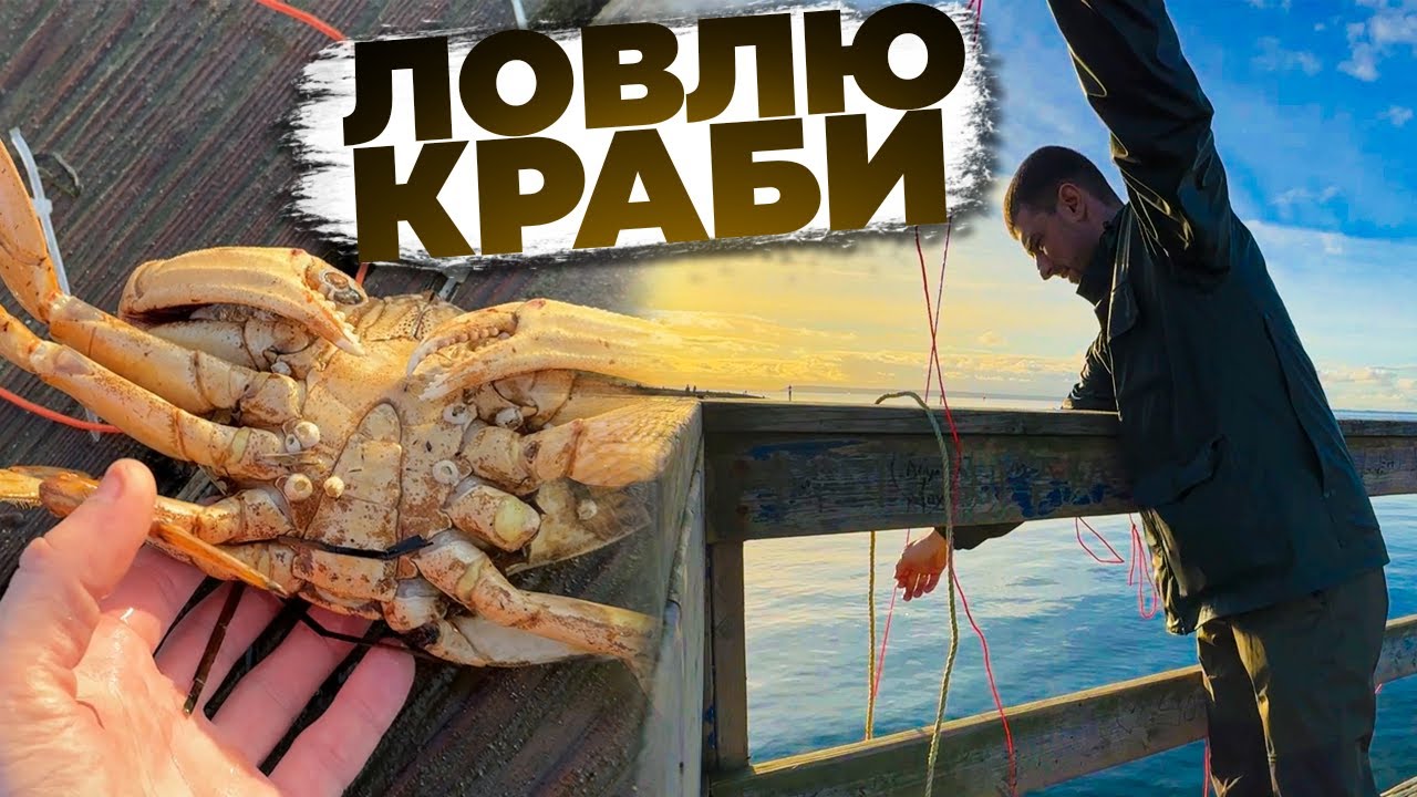 КРАБОВА ЛОВЛЯ В КАНАДІ. Ванкувер