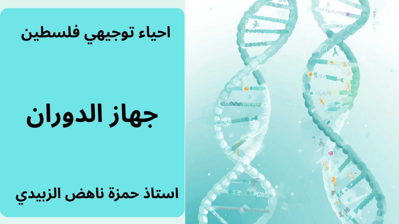 جهاز الدوران احياء التوجيهي الفلسطيني