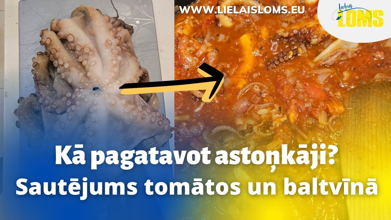 Kā pagatavot astoņkāji? Sautējums tomātos un baltvīnā