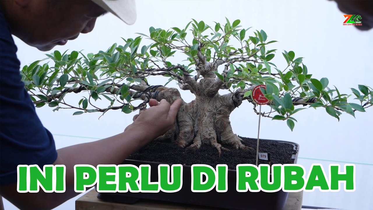 HAMPIR BEST TEN, SAYANG ADA 1 KELEMAHANNYA
