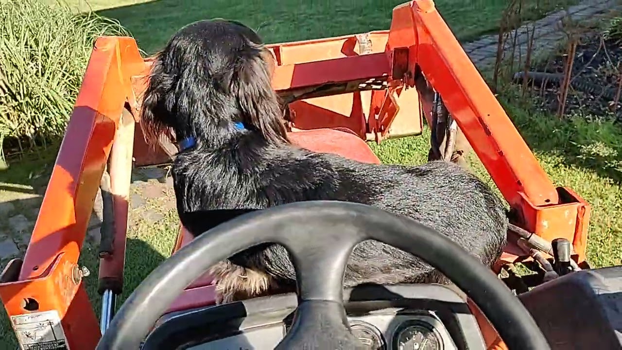 Fletch on Kubota tractor 