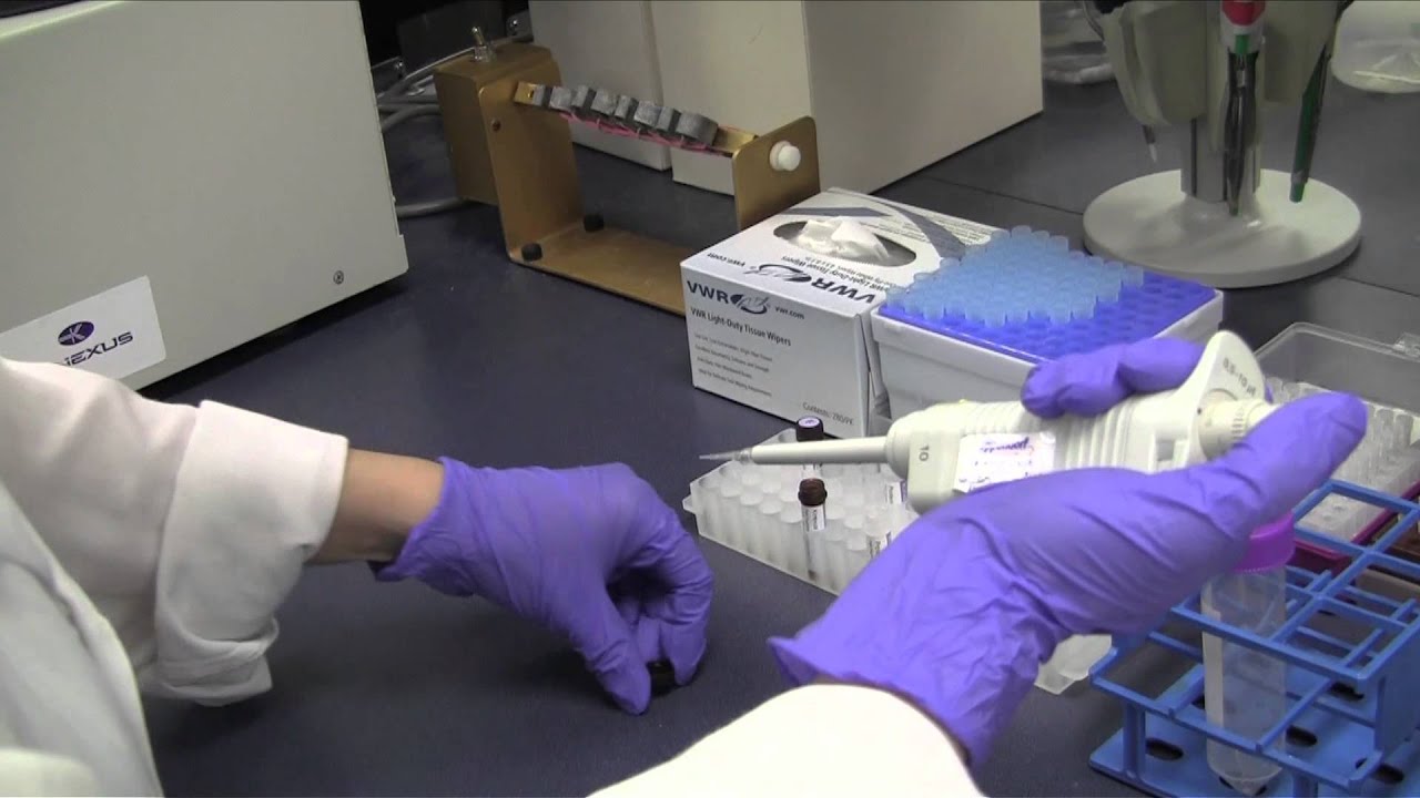 Stage 3: Dye Labelling Cell and Tissue Lysates for the Kinex™ KAM Antibody Microarray