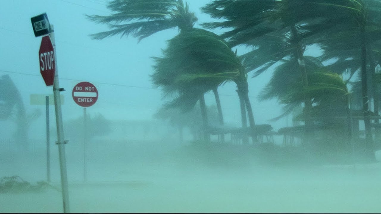 😴 Засыпайте менее чем за 3 минуты 🌨 Звуки сильного ливня и грозы для сна, расслабьтесь