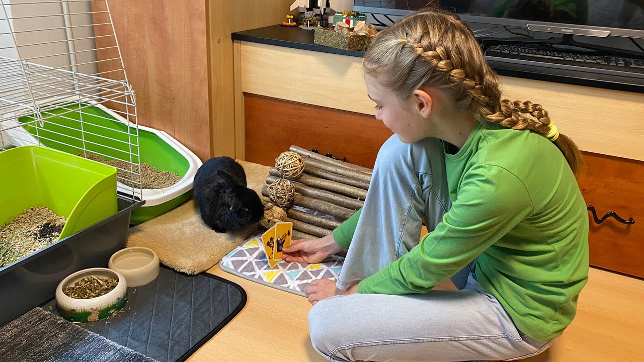 Firbcologi: kunci
