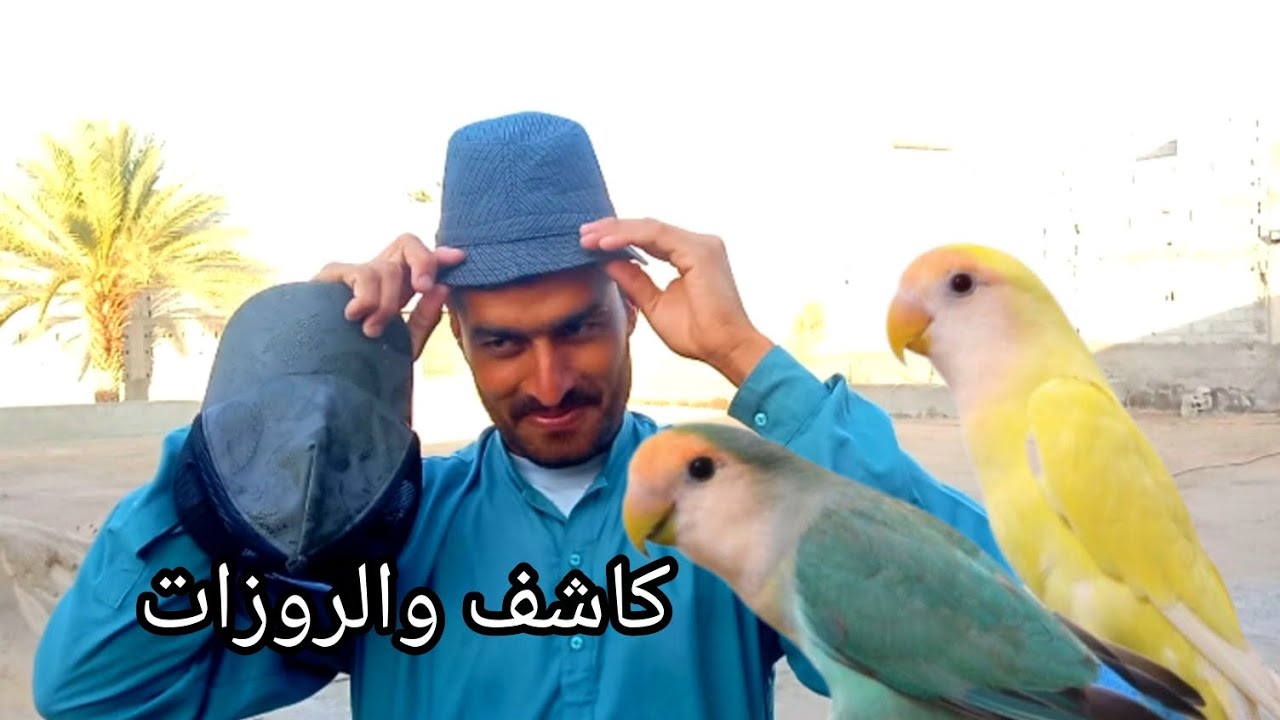 اليوم روتين جديد راح نحط البياضات للروزات