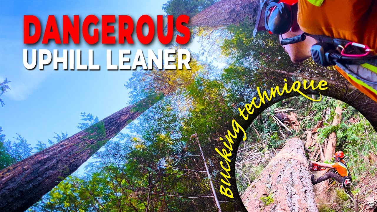 104. Heavy Uphill Leaner | Special Bucking Technique