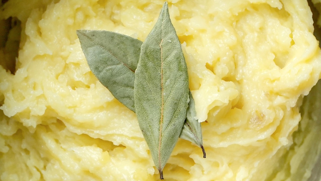 In Dried Bay Leaf&rsquo;s Defence &ndash; What It Tastes Like & How To Taste It