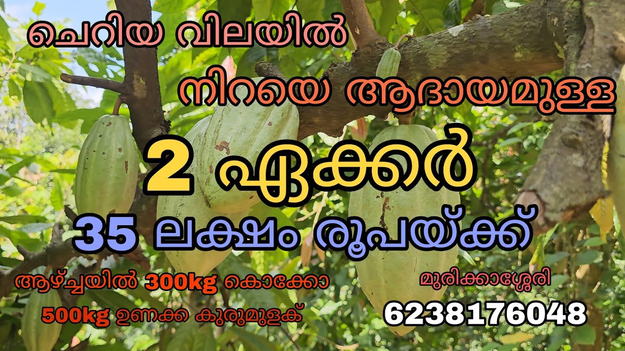 35 ലക്ഷം രൂപയ്ക്ക് നിറയെ ആദായമുള്ള 2 ഏക്കർ സ്ഥലം വിൽപ്പനയ്ക്ക്