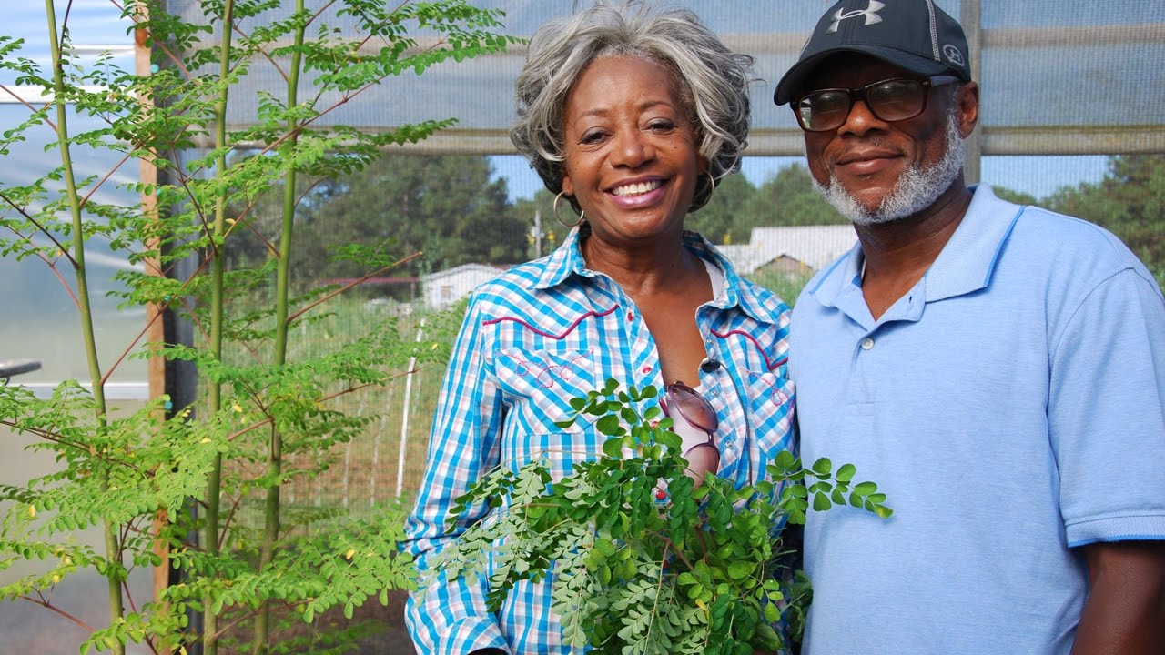 Alabama NRCS 2017 Small Farmers of the Year | Russell and Jewel Bean