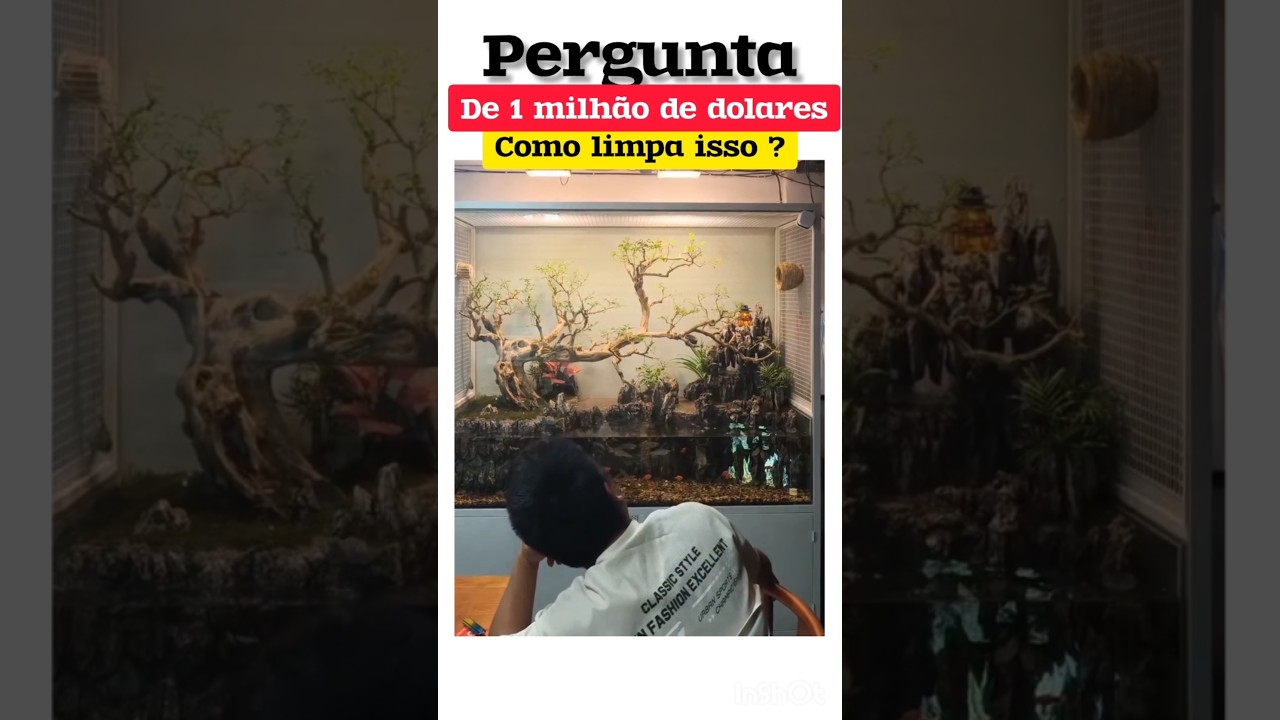 OLHA ESSE VIVEIRO ! #bird #passaros #peixes