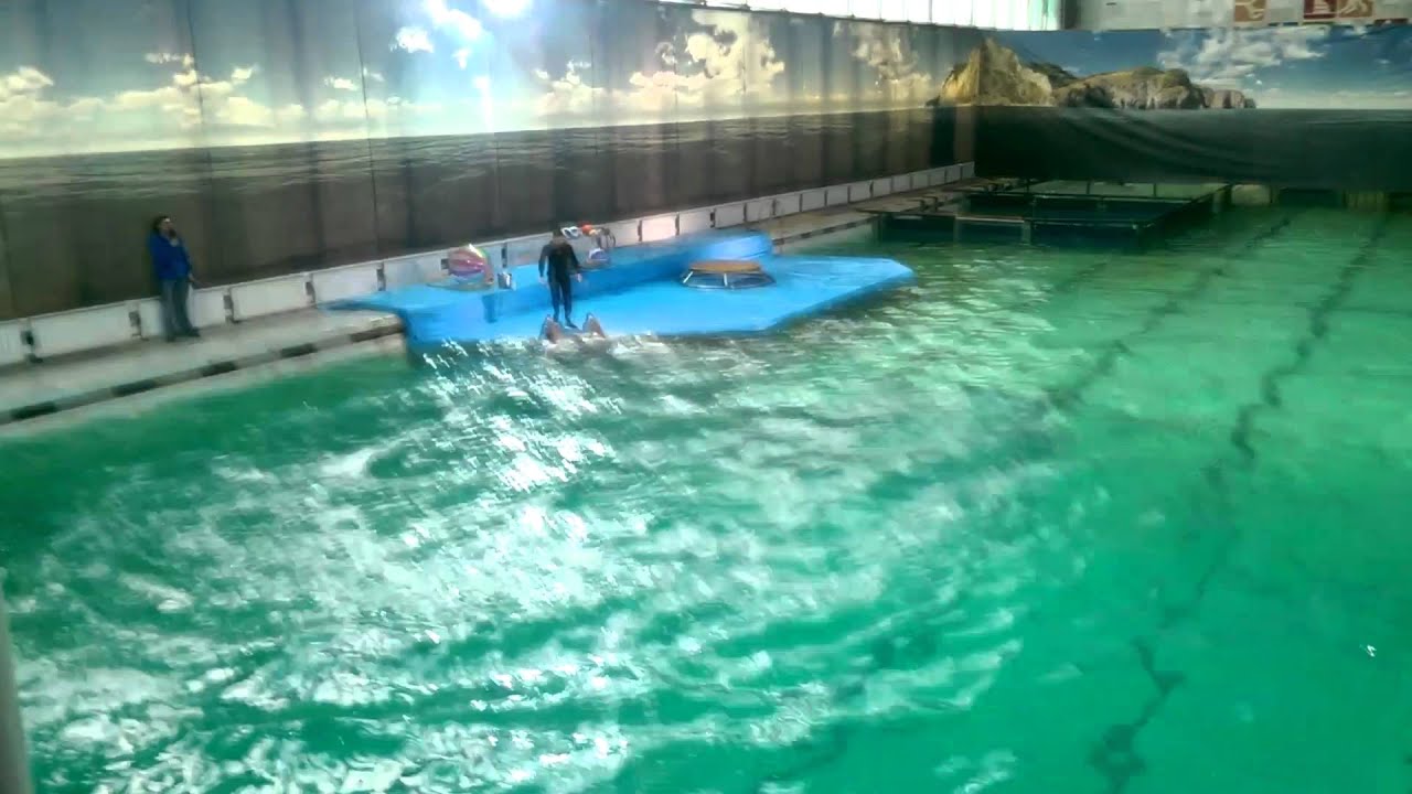 VIDEO0106