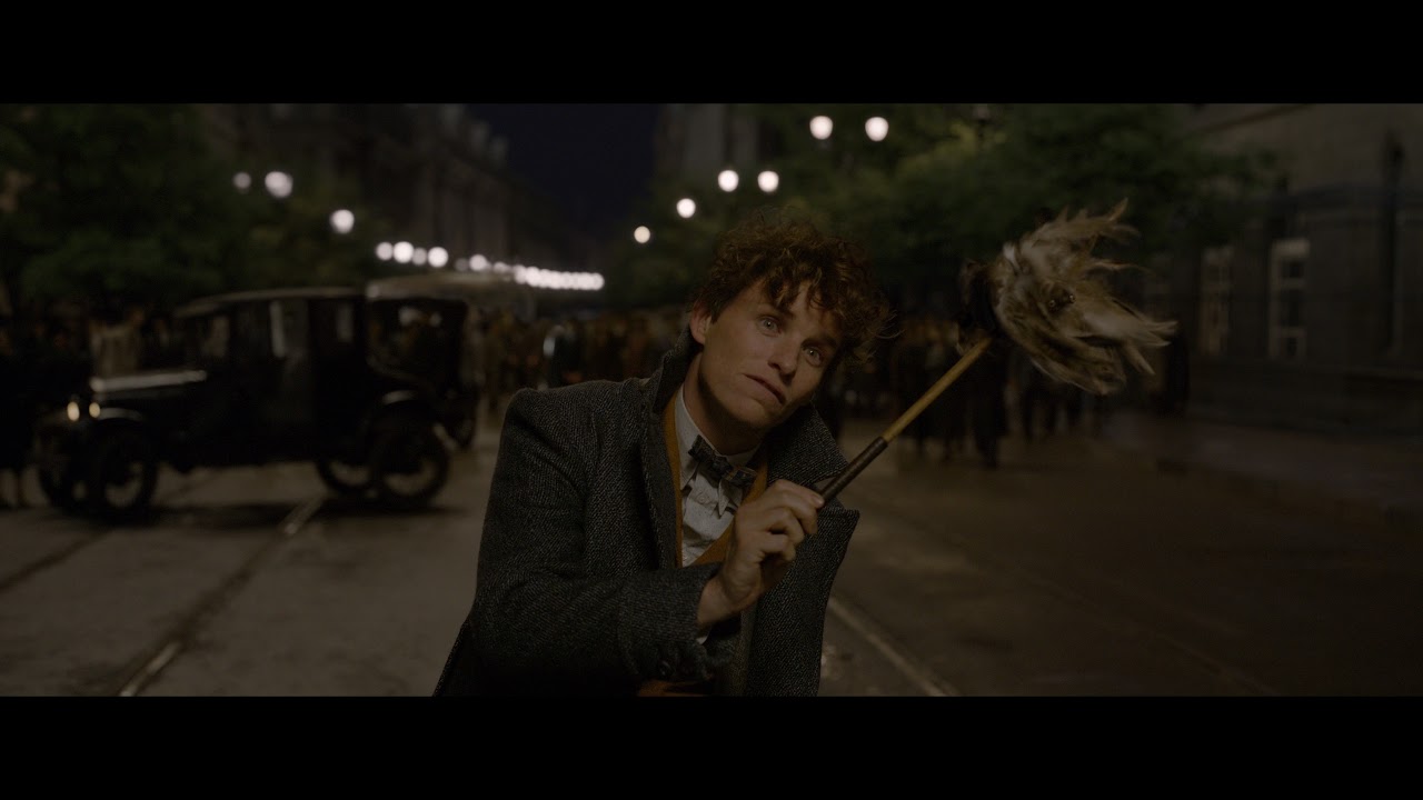 Fantastic Beasts UHD - The Crimes of Grindelwald (2018) - Catching Wild Beasts (08/13) | 4K Clips