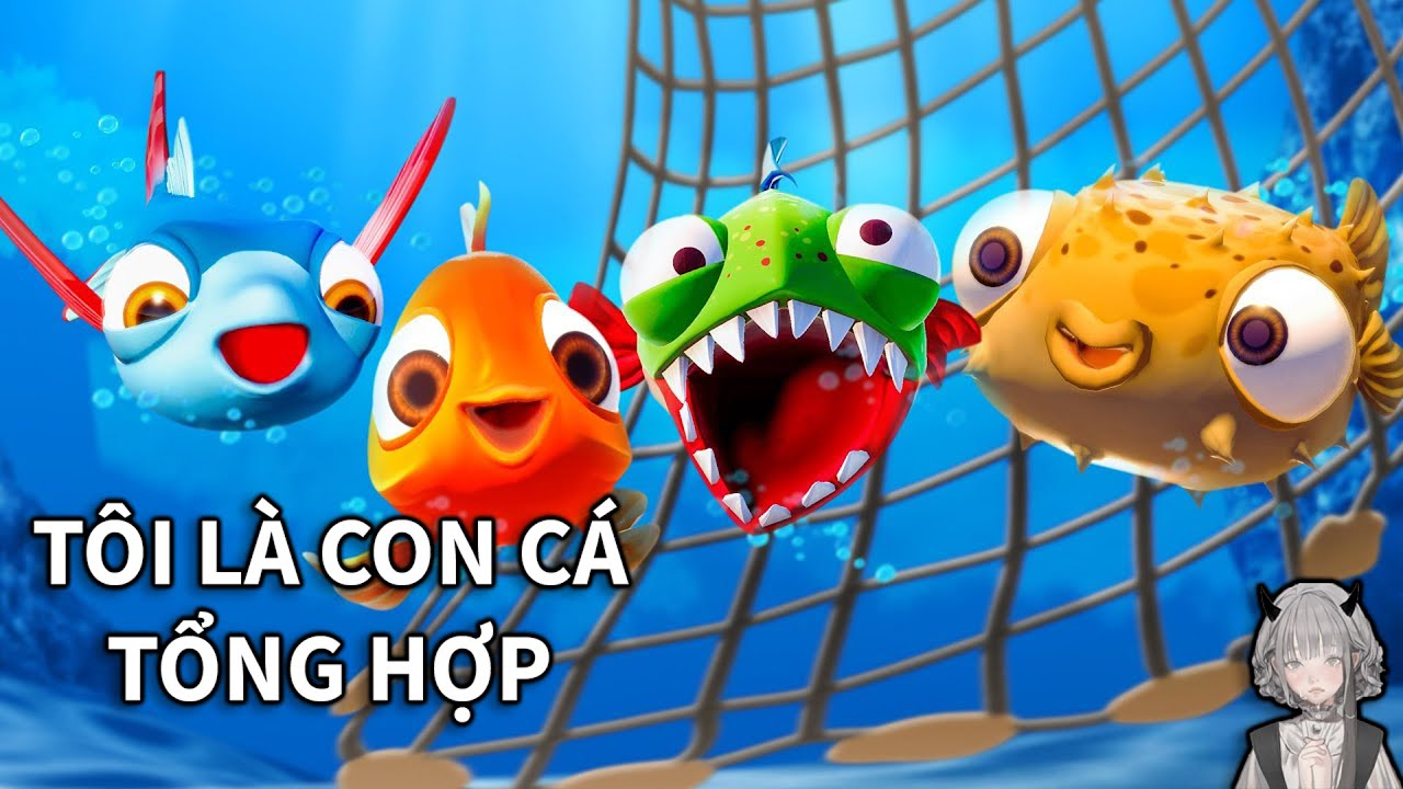 TỔNG HỢP 