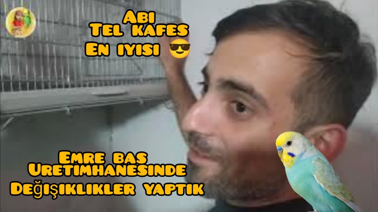 PVC Kafes Mi? Tel Kafes Mi? Kullanıcı Görüşü l Üretimhane Kuruyoruz l Vlog