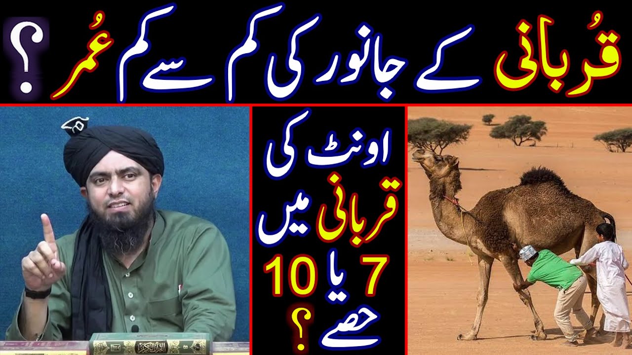 😍 Qurbani Ke Janwar Ki Umar | Camel & Cow Ki Qurbani Me 7 Ya 10 Hissay | Engineer Muhammad Ali Mirza