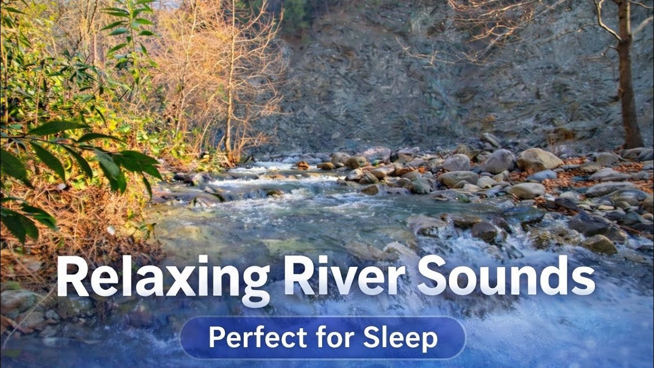 Sleep-Inducing Nature: Soothing Stream Sounds for Deep Rest 🌙💧