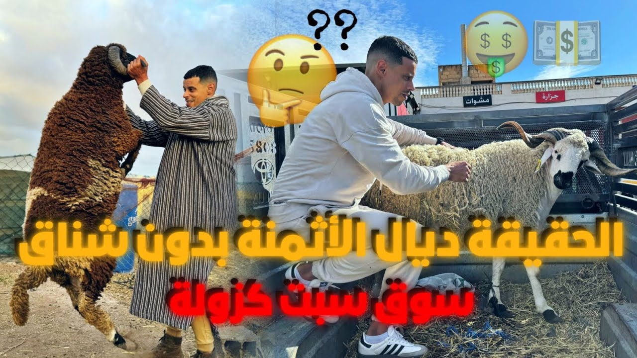 الحقيقة الأثمنة بدون شناقة سبت كزولة