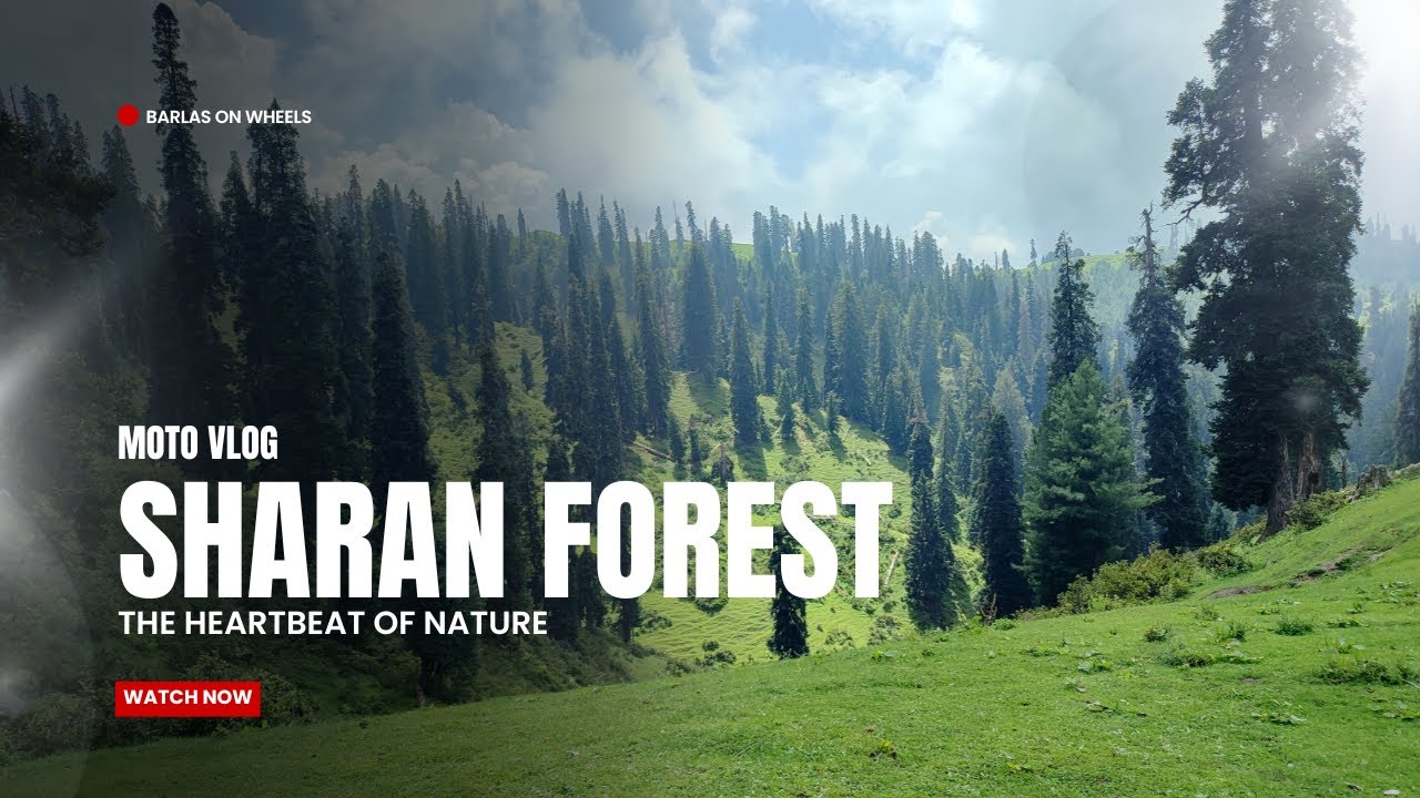 Part-I: Sharan Forest & Manshi Hill Top on Bike | Stunning Hidden Gem of Pakistan