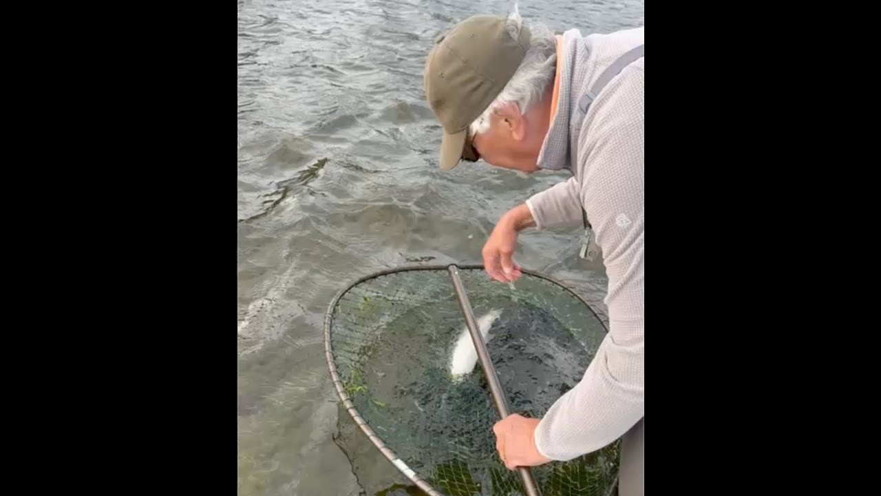 Salmon Fishing Middle Pavilion