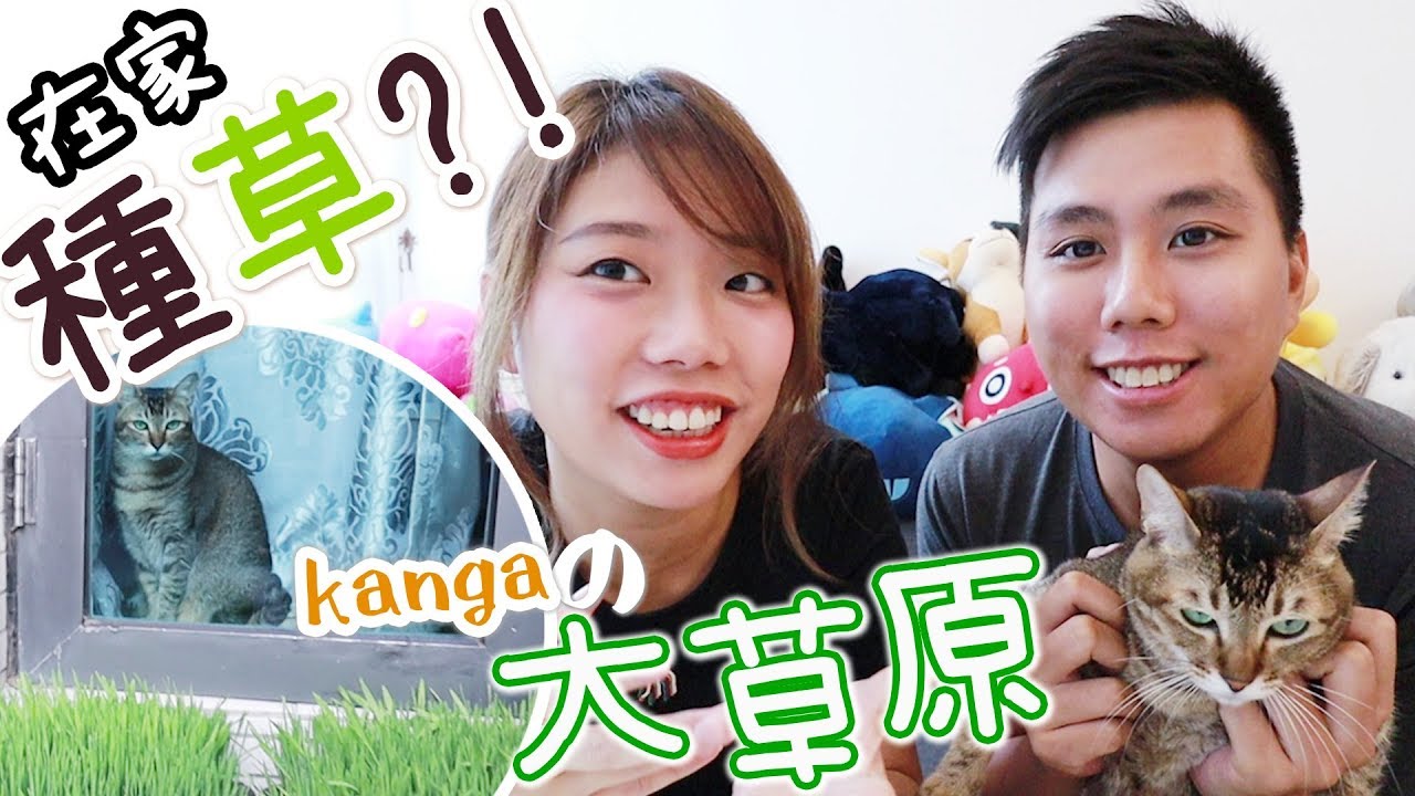 [海蔘皇后] 在家種個大草原！？ #15