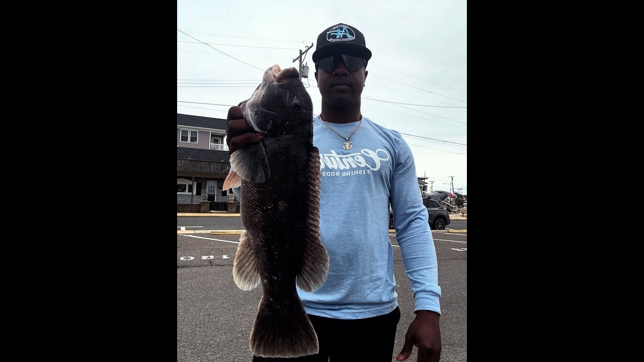 5lb Tog on Secret Bait at the inlet